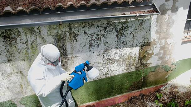 Top rated local Mold Removal specialists in Richland, GA